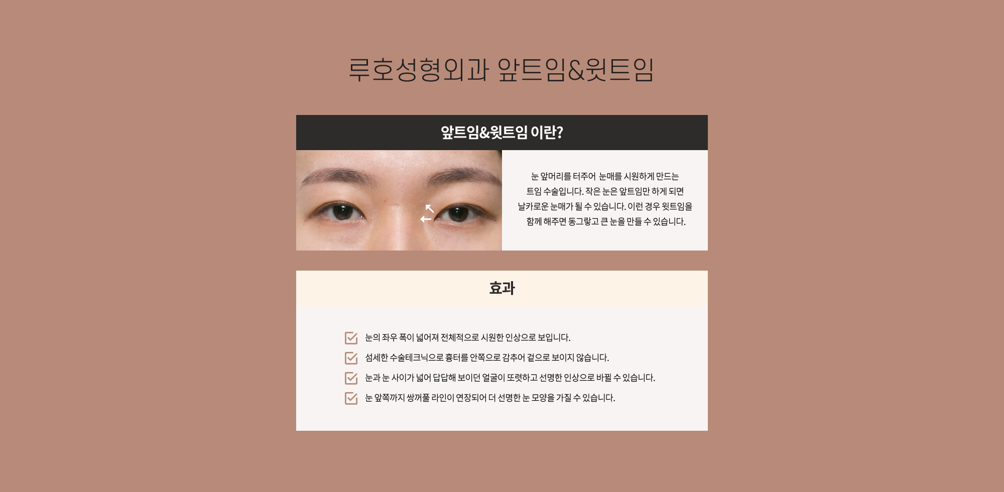 루호성형외과 트임수술 : 전문성에 대한 신뢰와 품격, 루호성형외과 루호성형외과 트임수술 : 전문성에 대한 신뢰와 품격, 루호성형외과